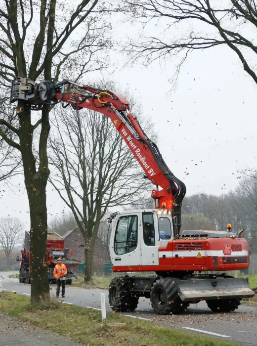 Populieren rooien in Ette-Leur - Van Weert