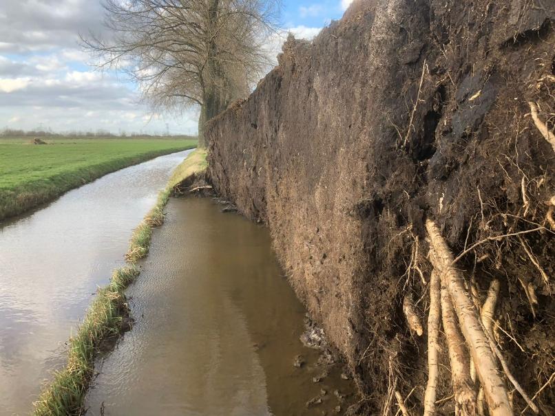 Gemeente werkzaamheden in Drimmelen na storm - Van Weert