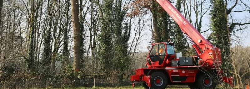 Boomverzorging en bosonderhoud door Van Weert