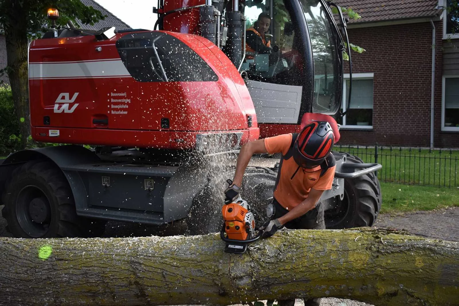 Bomen rooien Oss - Van Weert