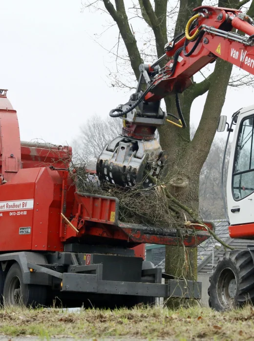 Bomen kappen Breda - Van Weert