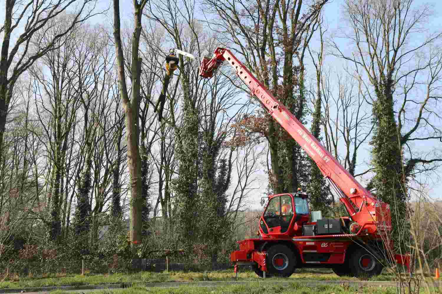 Bomen kappen Eindhoven - Van Weert