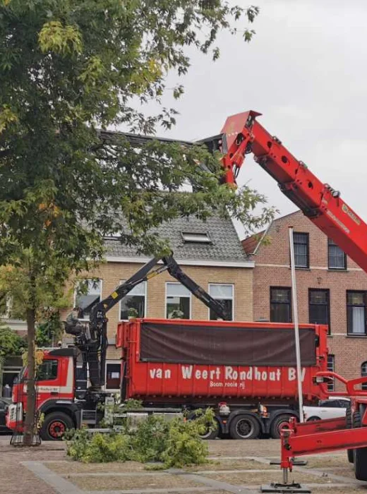 Bomen kappen Helmond - Van Weert