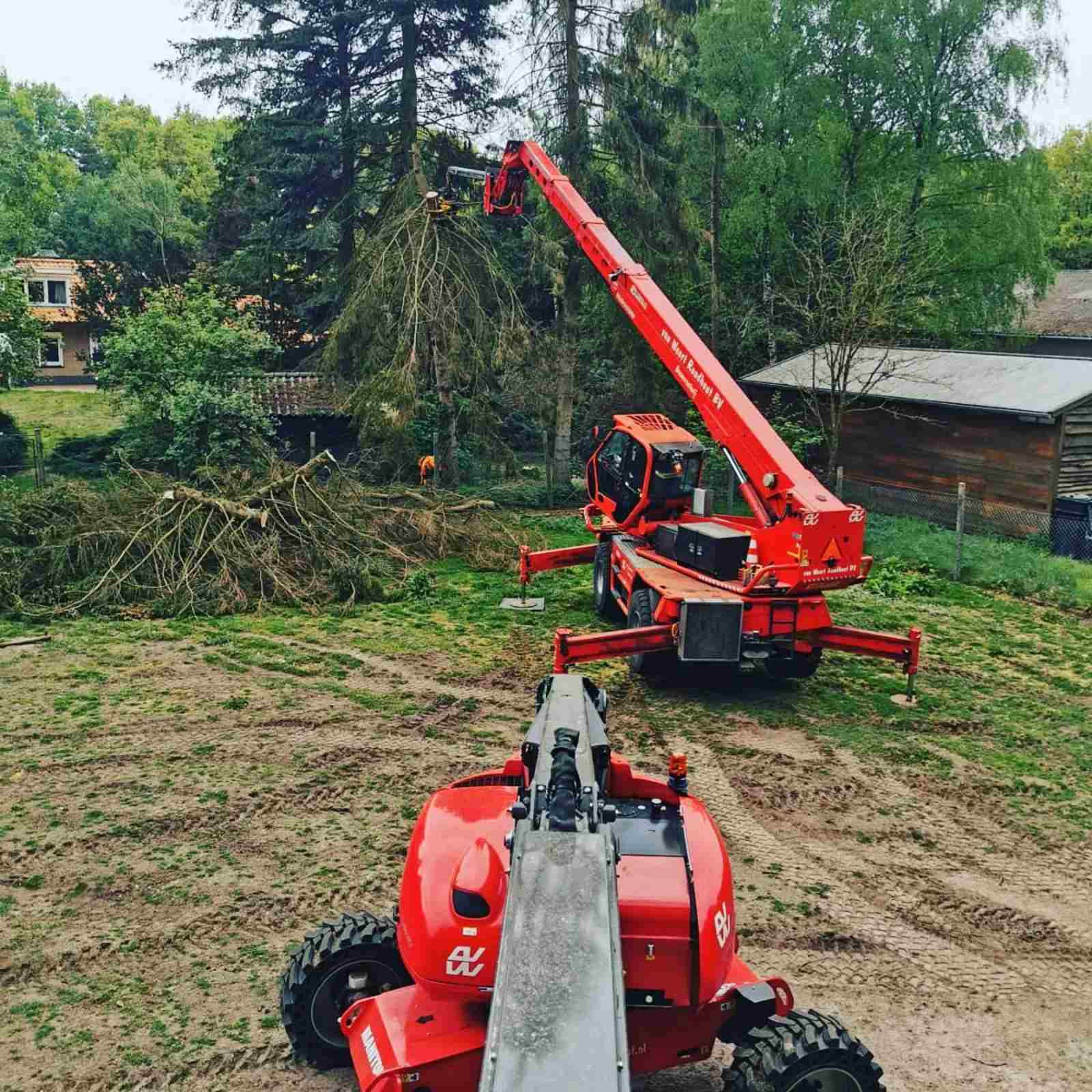 Bomen kappen Oosterhout - Van Weert