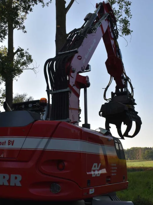 Bomen kappen Oosterhout - Van Weert