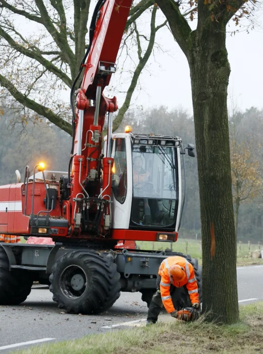 Bomen kappen 0osterhout - Van Weert