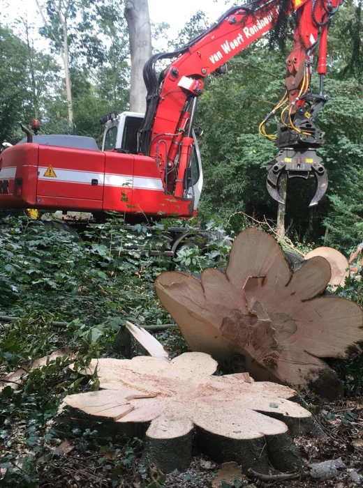 Bomen kappen Oosterhout - Van Weert