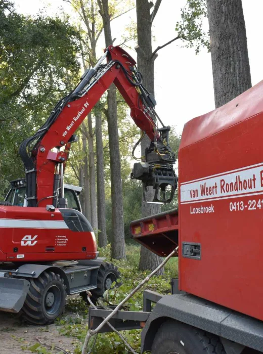 Bomen kappen eindhoven - Van Weert