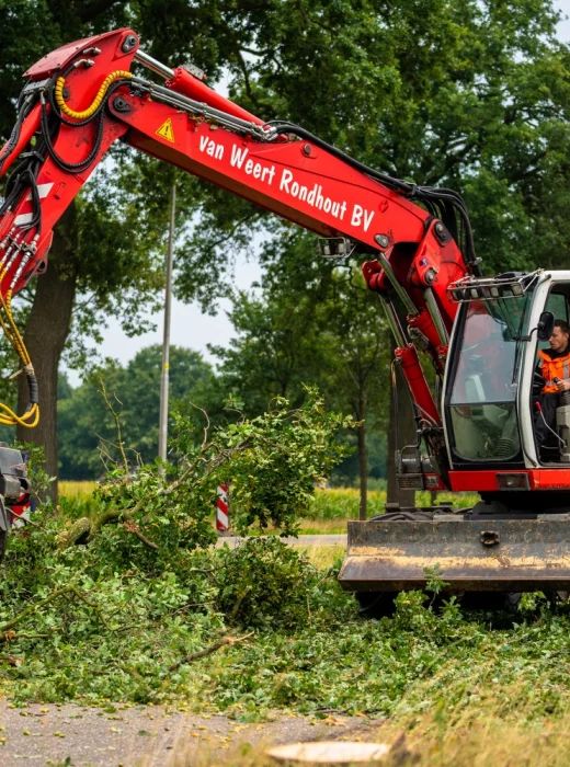 Bomen kappen Venray - Van Weert