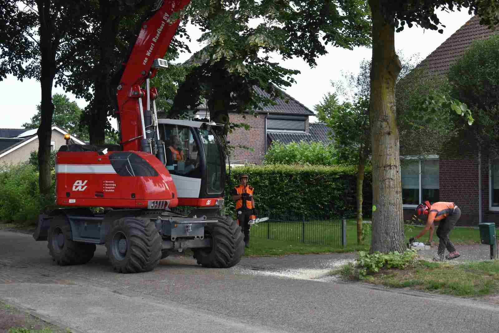 Bomen rooien Bergen op Zoom - Van Weert