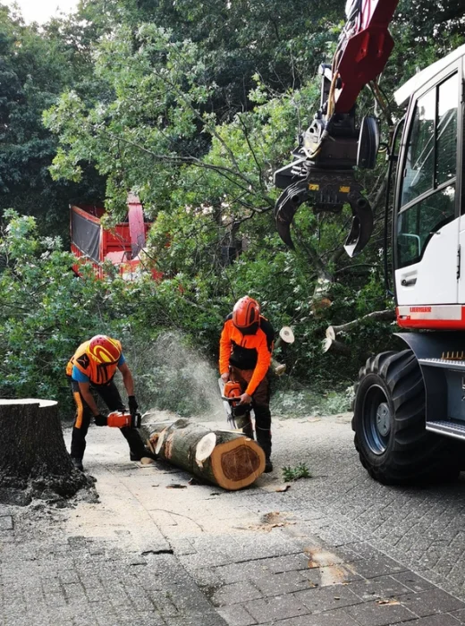 Bomen rooien Bergen op Zoom - Van Weert