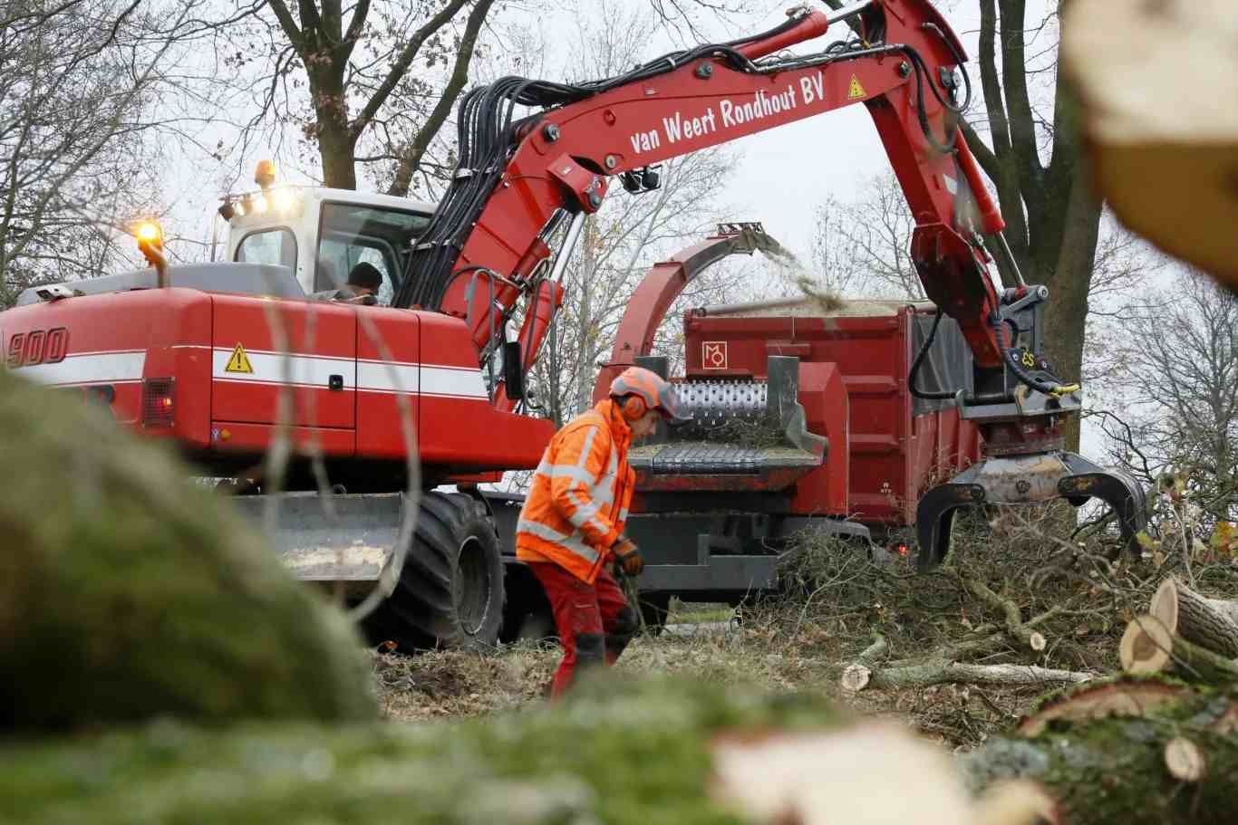 Bomen rooien Den Bosch - Van Weert