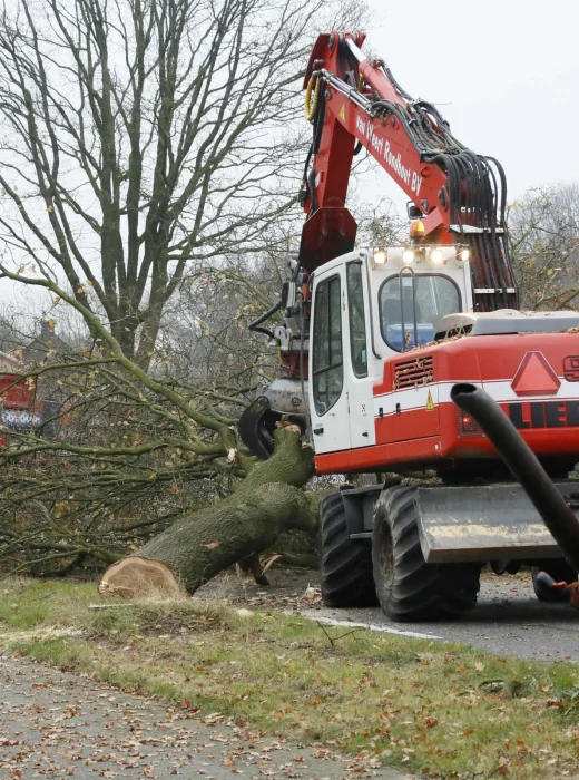 Specialist in bomen rooien regio Den Bosch