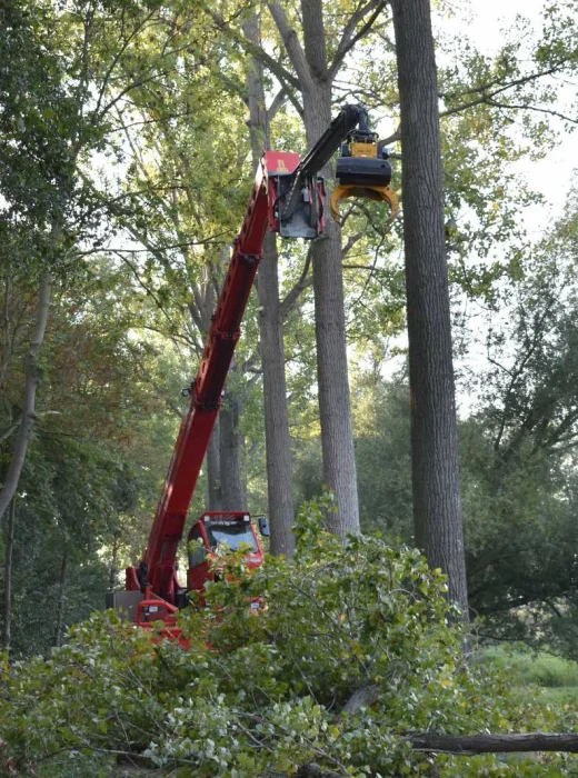 Bomen rooien Etten-Leur - Van Weert