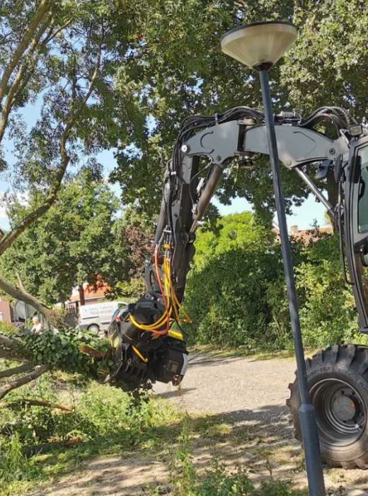 Bomen rooien Etten-Leur - Van Weert