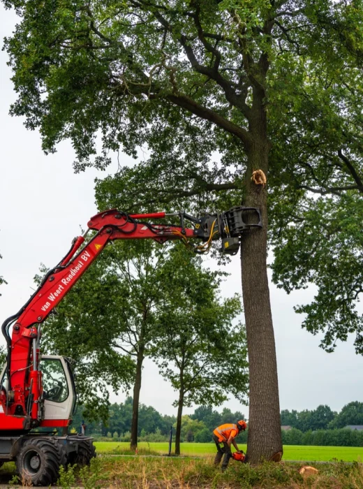 Bomen rooien Ettenleur - Van Weert