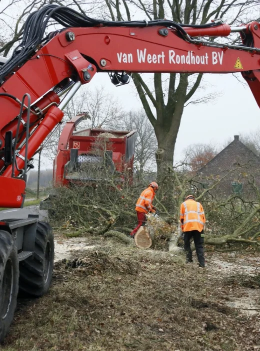 Bomen rooien Roerdalen - Van Weert