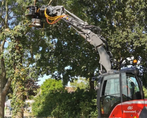 Bomen rooien Veghel - Van Weert