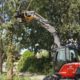 Bomen rooien Veghel - Van Weert