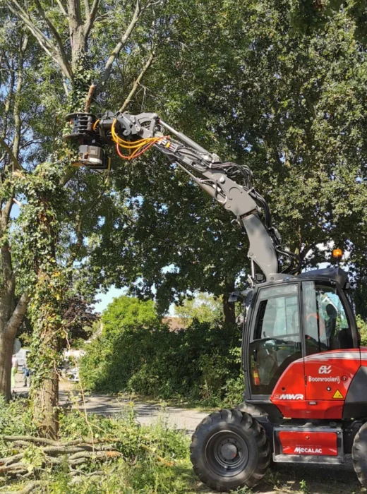 Bomen rooien Veghel - Van Weert