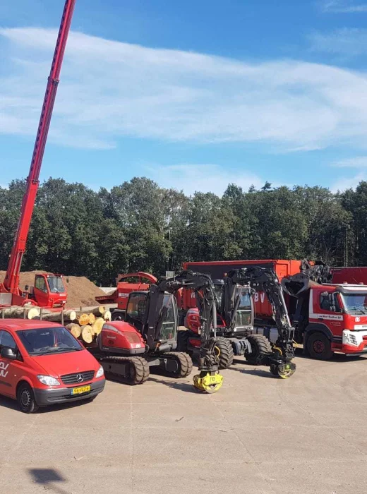 Bomen rooien Moerdijk - Van Weert