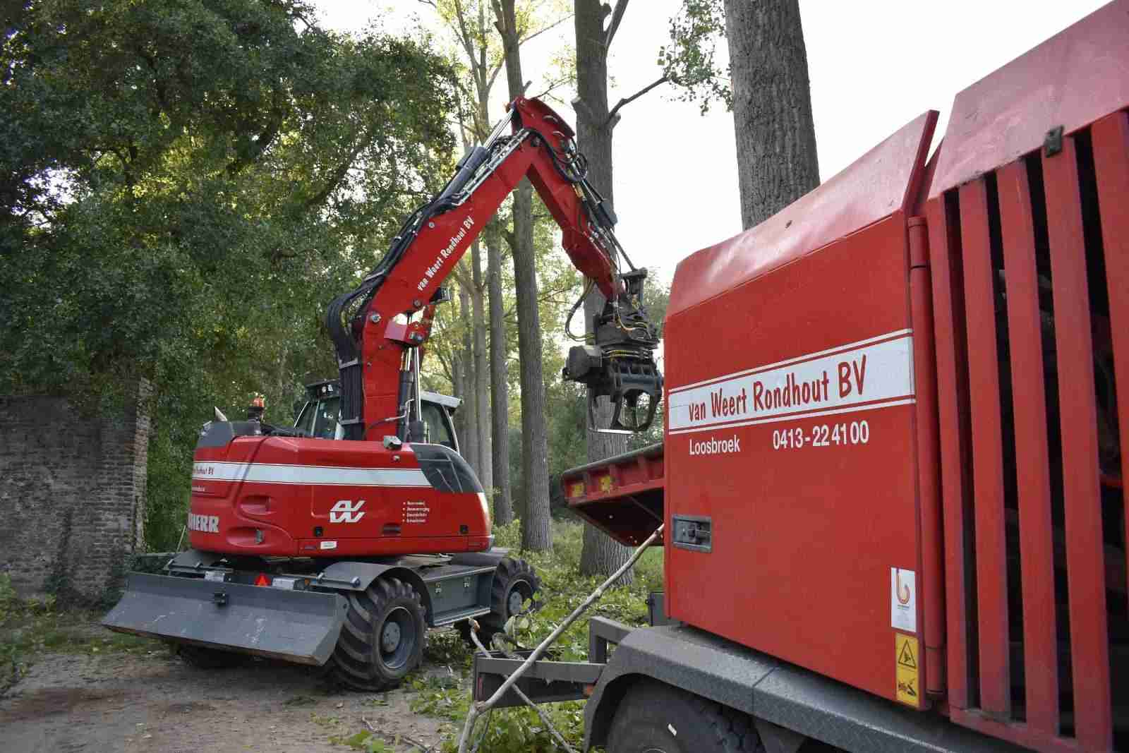 van Weert specialist in verwijderen van bomen