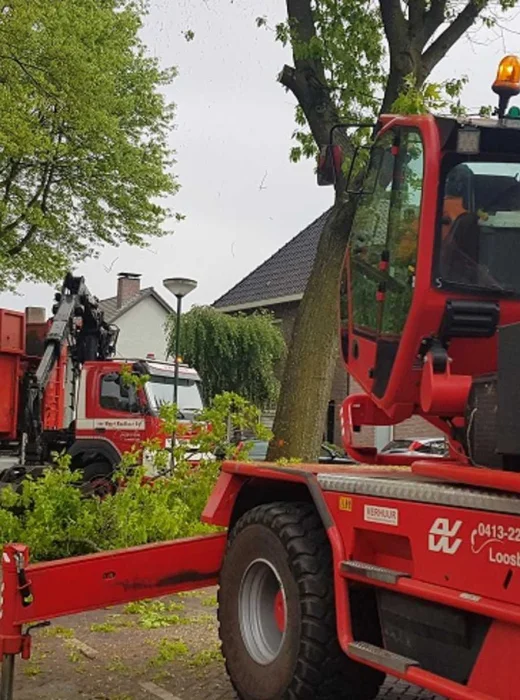 Bomen rooien in Tilburg