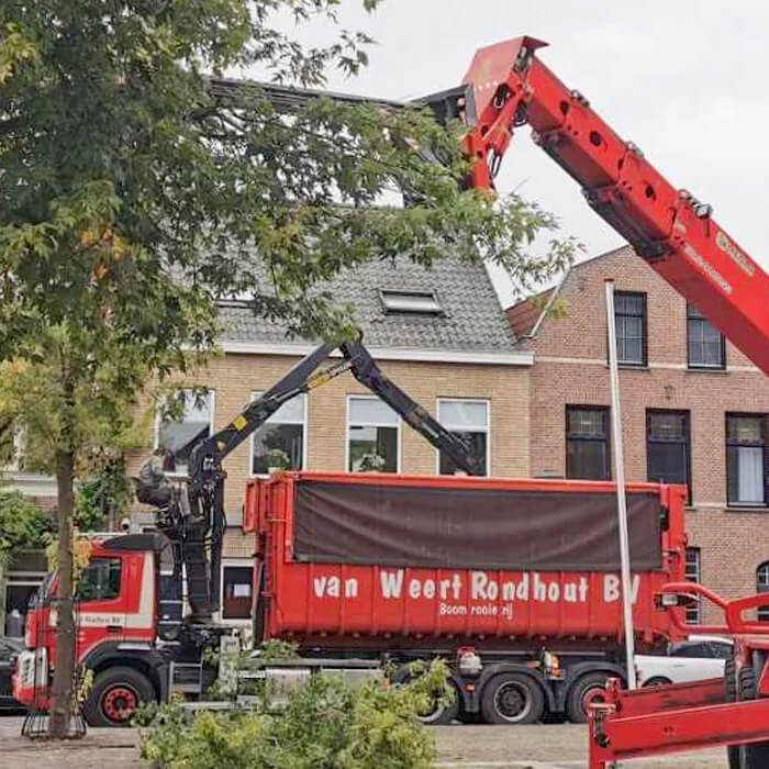 Van Weert - Onderhoud bomen Bernheze