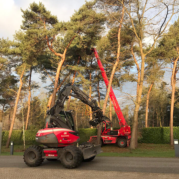 bomen vellen en kappen