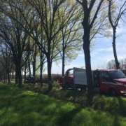 Bomen snoeien door Van Weert