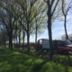 Bomen snoeien door Van Weert