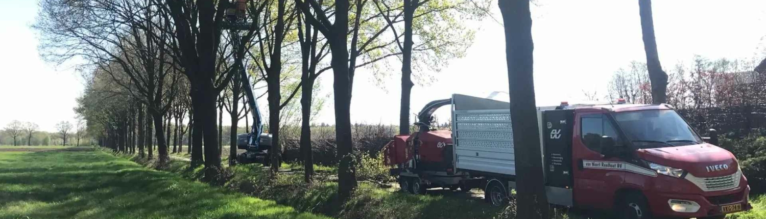 Onderhoud aan bomen door Van Weert