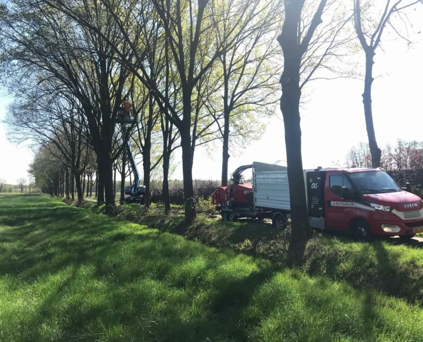 Onderhoud aan bomen door Van Weert