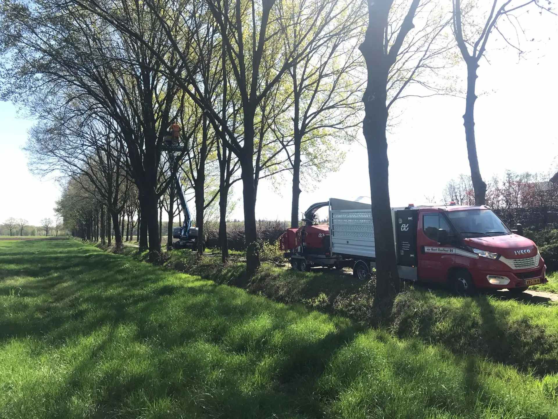 Onderhoud aan bomen door Van Weert