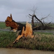 na de storm komt de zon - Van Weert