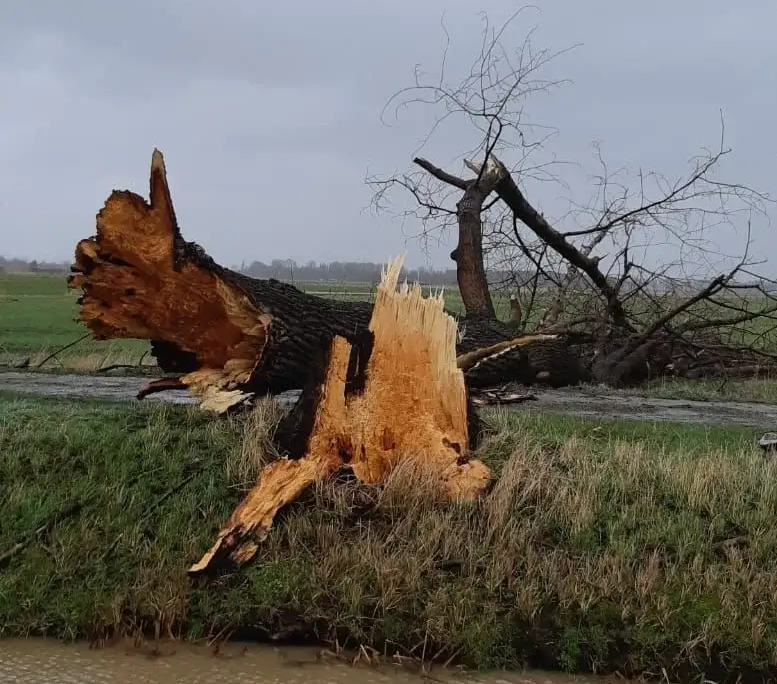 Stormschade herstel