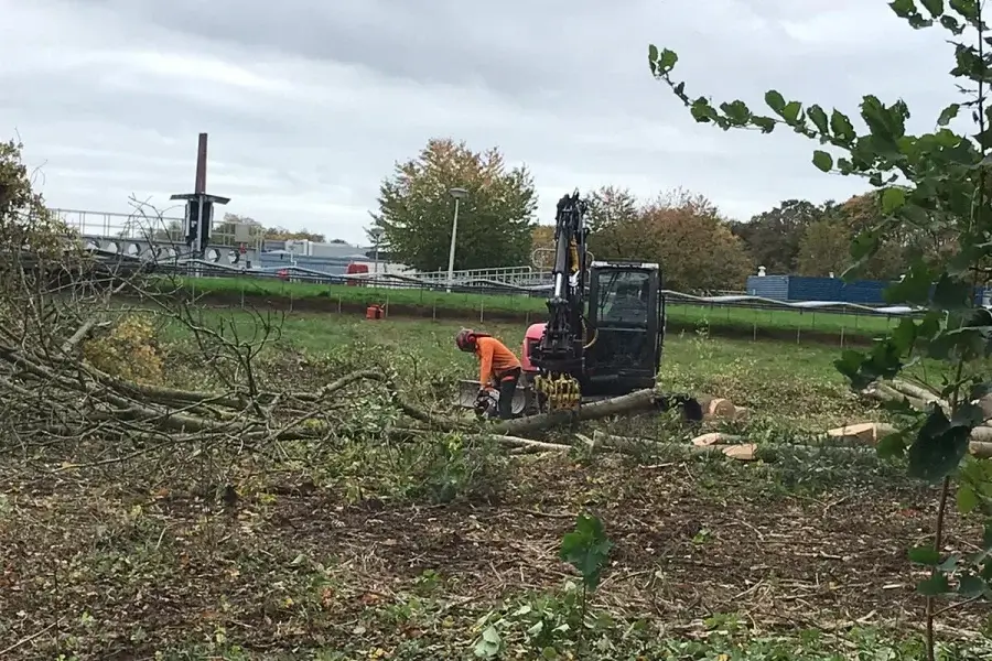 bomen rooien Maastricht