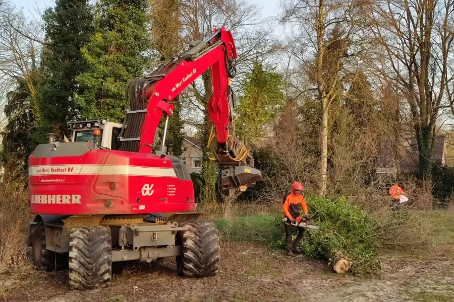 Keuring en controle VTA voor veiligheid en gezondheid van bomen