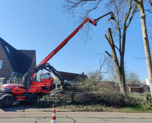 Bomen rooien in Boxtel - Van Weert