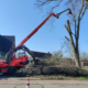 Bomen rooien in Boxtel - Van Weert