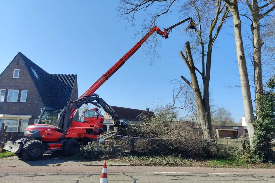 Bomen rooien in Boxtel - Van Weert