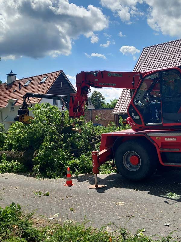 Bomen rooien werkzaamheden - Van Weert