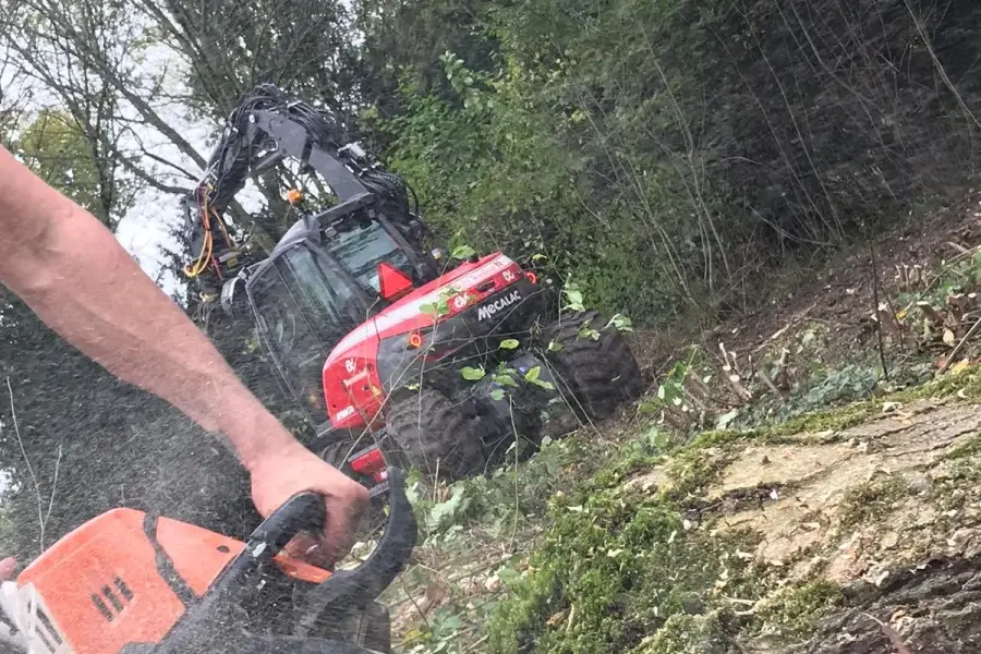 Bossen onderhouden in Oss