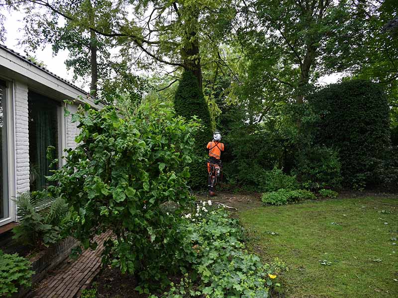 Stormschade in tuin herstellen