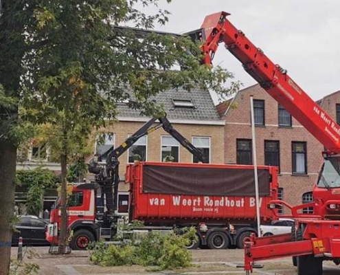 Rooien in stedelijke gebieden - Van Weert