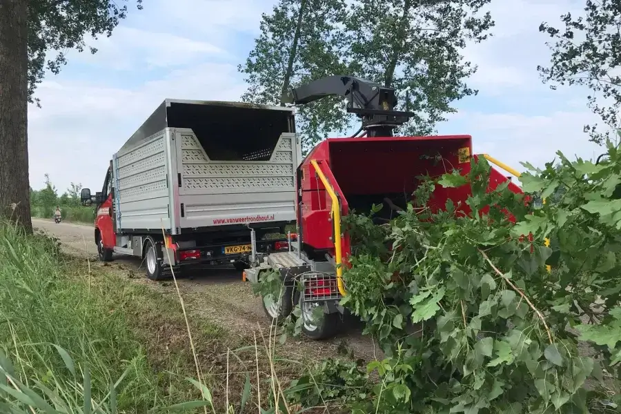 Duurzaam bomen snoeien Oss