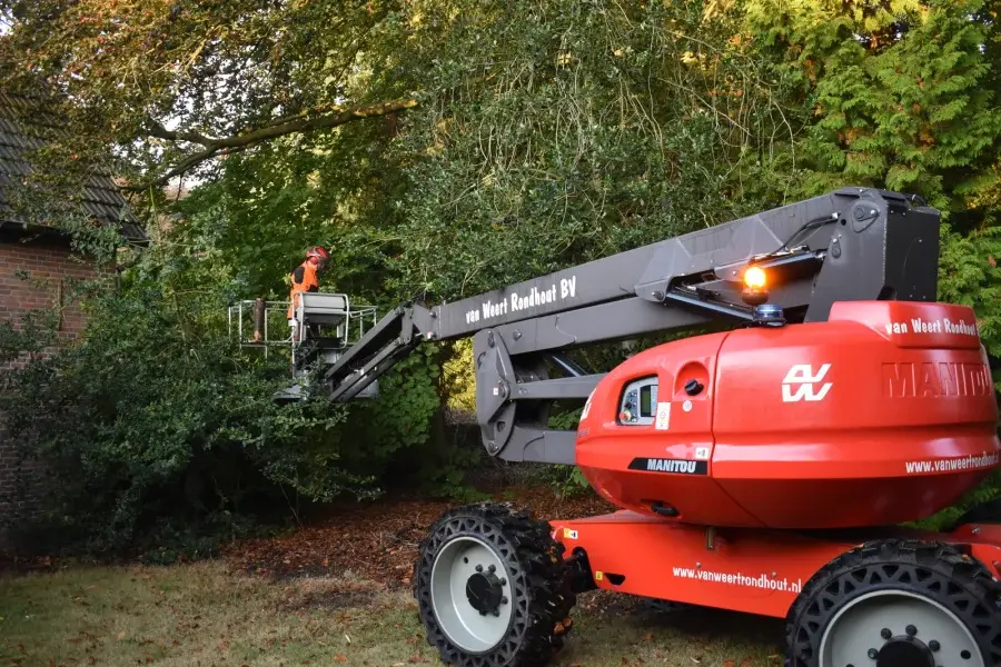 Duurzaam bomen snoeien in Den Bosch