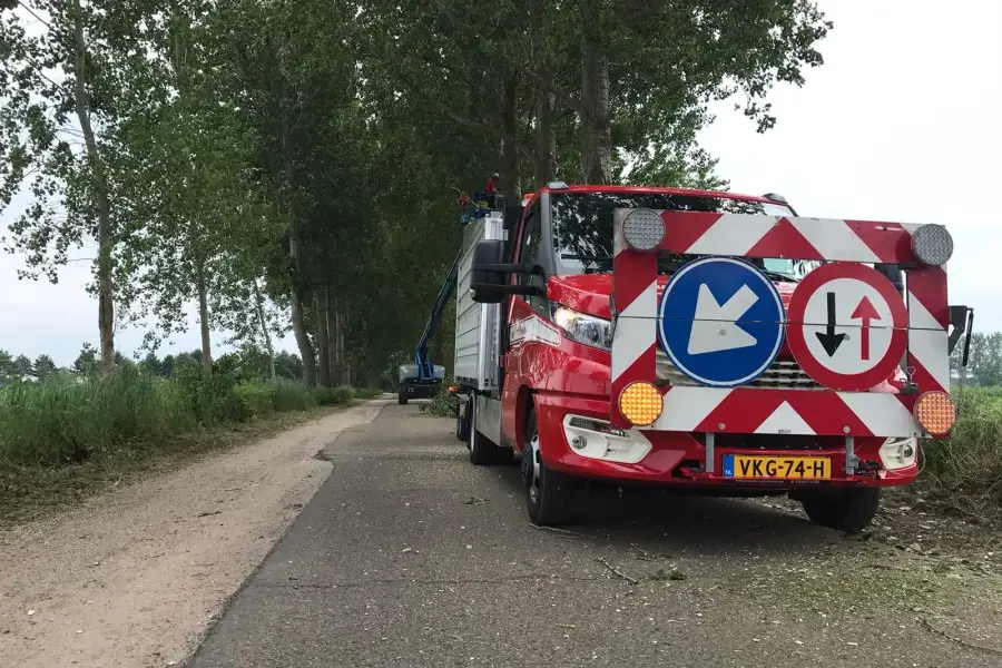 bomen snoeien in gemeente Meierijstad