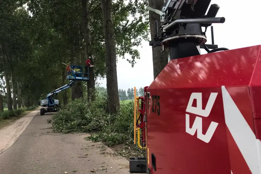 verkeer afgezet voor snoeien bomen in Meierijstad