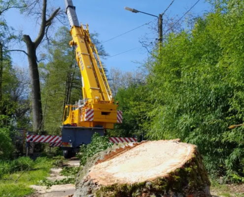 Van Weert boomrooierij Bocholt Limburg